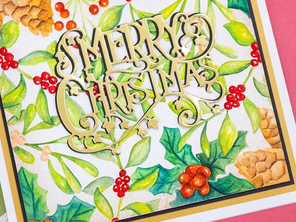 Crafter's Companion 3D Embossing Folder 5.5