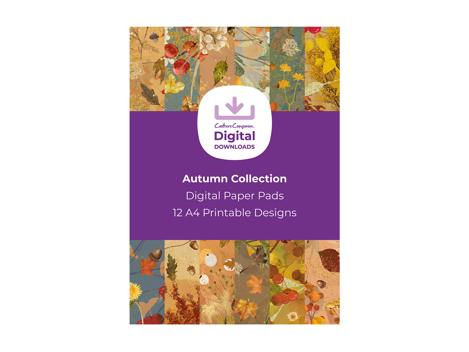 Autumn Collection - Digital Paper Pad