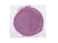 Crafter's Companion Duet Inkpad - Vintage Merlot