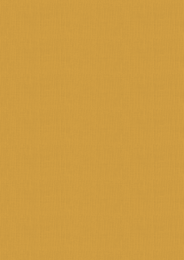 Vintage Carnival Luxury Linen Cardstock - A4