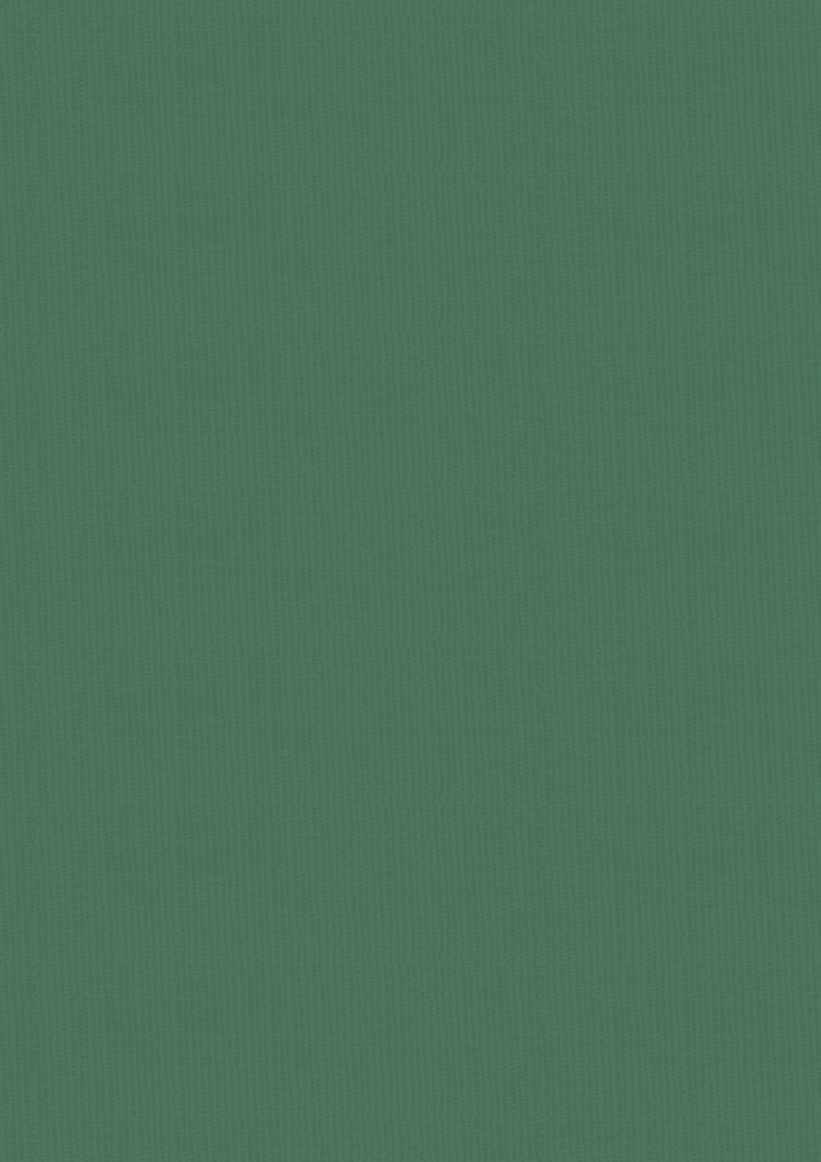 Vintage Carnival Luxury Linen Cardstock - A4
