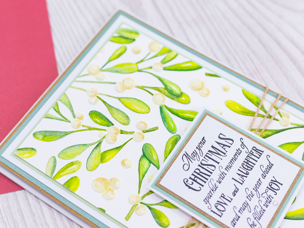 Crafter's Companion 3D Embossing Folder 5