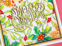 Crafter's Companion 3D Embossing Folder 5.5