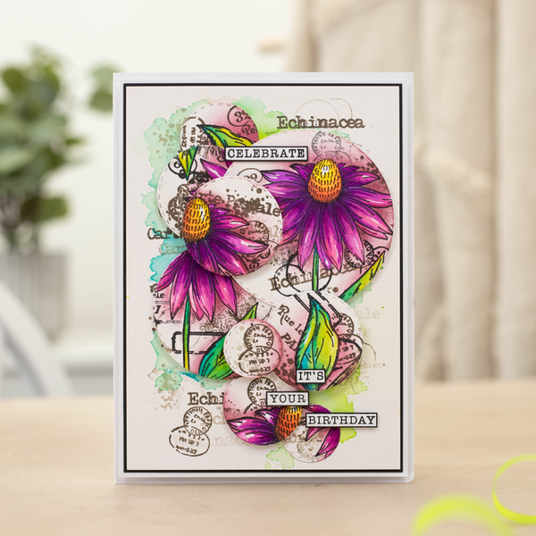 Crafter's Companion Floral Collage Stamp - Exquisite Echinacea