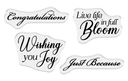 Crafter's Companion Stamp and Die Set - Live Life in Full Bloom