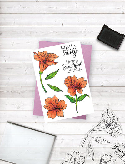 Crafters Companion - Photopolymer Stamp - Hello Lovely