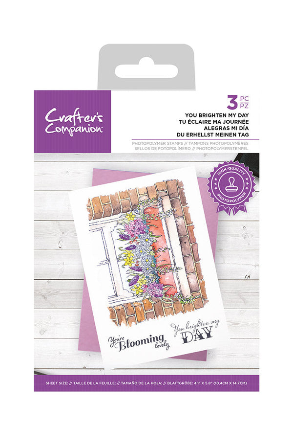Crafter's Companion Photopolymer Stamp - You Brighten My Day