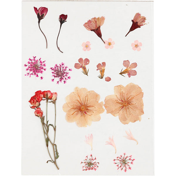 Creativ Pressed Flowers and Leaves - Light Rose