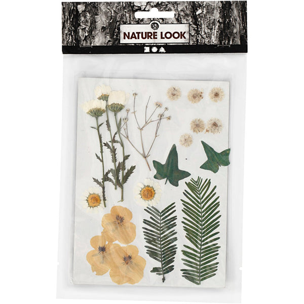 Creativ Pressed Flowers and Leaves - Off-White