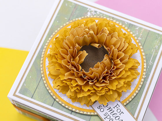 Explore our February launches