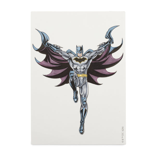 Spectrum Noir Fan-Art Like a Pro Art Kit - Batman