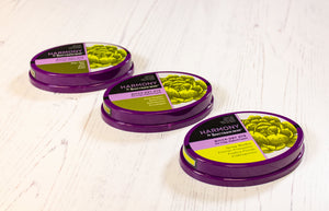 Spectrum Noir Harmony Quick-Dry Dye Inkpad - Spring Meadow