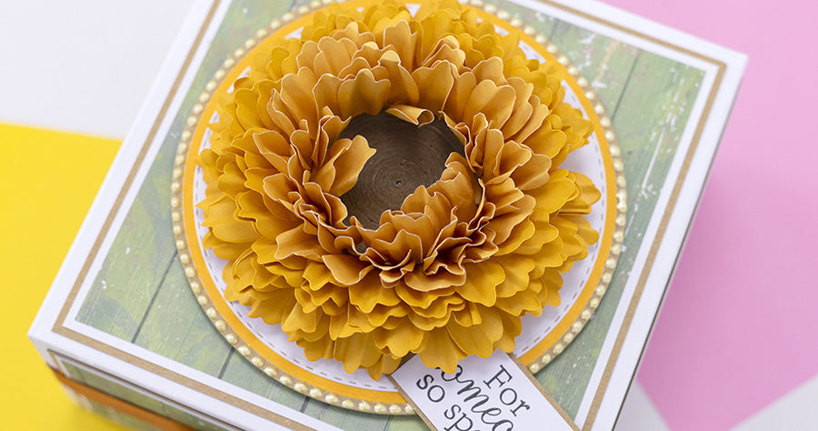 Explore our February launches