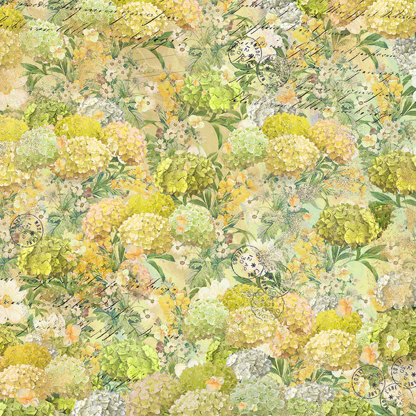 Nature's Garden - Hydrangea - 12