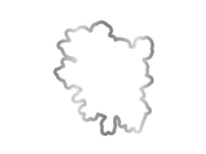 Nature's Garden - Midnight Floral Stamp & Die - Butterfly & Rose Blooms