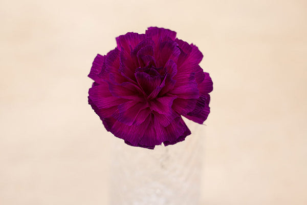 Crepe Paper Flower Making Kit