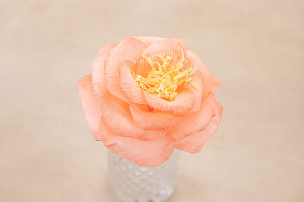 Sara Signature Say It With Flowers - Crepe Paper Flower Making Kit