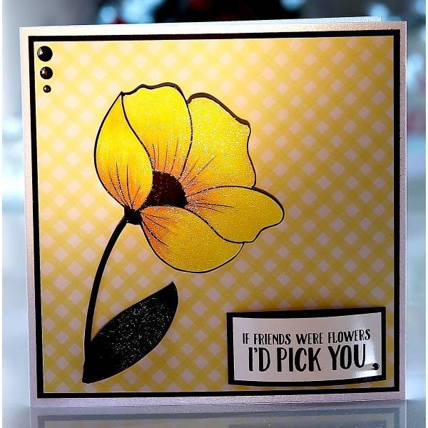 Spectrum Noir Sparkle (6PK) - Nature Trail