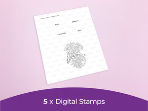 Nature's Garden Delightful Daisies Collection - Digital Bundle