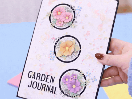 Explore our recent launches