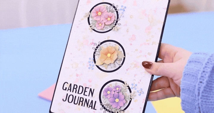 Explore our recent launches