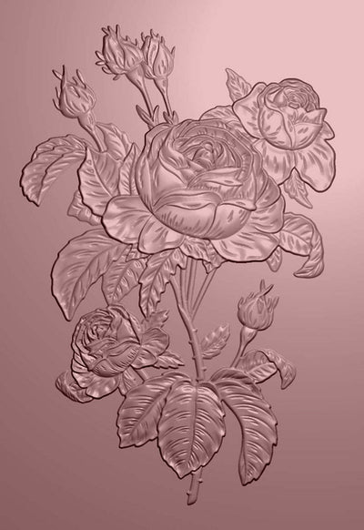 Natures Garden Vintage Rose 5 x 7 3D Embossing Folder - Timeless Roses